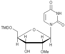 5'-O-（4,4'-二甲氧基三苯甲基）-2' - 甲氧基尿苷