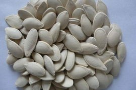 南瓜子粉 南瓜子多糖 南瓜子多肽 加工压片糖果
