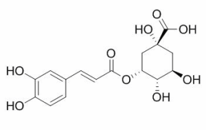 新绿原酸 CAS：906-33-2