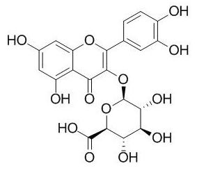 槲皮素-3-O-β-D-吡喃葡糖苷酸 CAS：22688-79-5