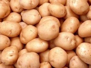 60%土豆蛋白 土豆提取物 1kg包邮 可定制 土豆蛋白粉 土豆萃取粉