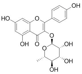 百蕊草素I供应 CAS：482-39-3