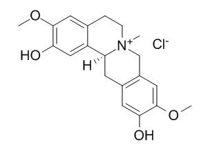 盐酸黄柏碱 CAS：104112-82-5