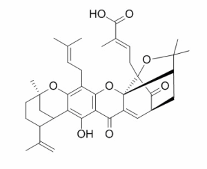 Gambogellic acid 173867-04-4