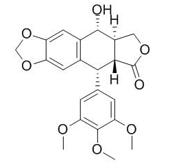 鬼臼毒素 CAS：518-28-5