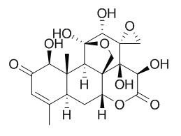 13α(21)-环氧宽缨酮 CAS：138809-10-6