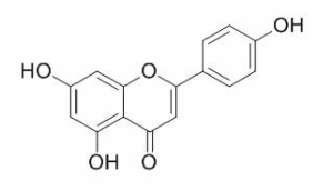 芹菜素 CAS：520-36-5