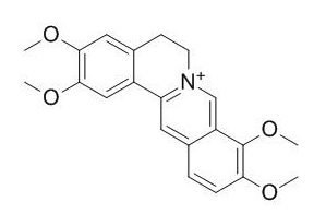 黄藤素 CAS：3486-67-7