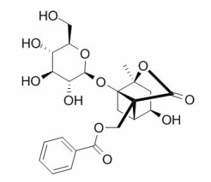 芍药内酯苷 CAS：39011-90-0