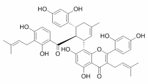 桑皮酮H CAS：76472-87-2