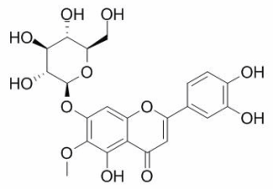 假荆芥属苷 CAS：569-90-4