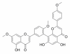 金松双黄酮 CAS：521-34-6