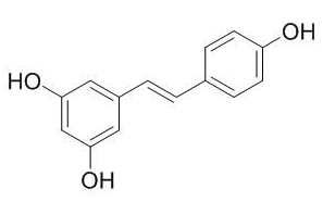 白藜芦醇 CAS：501-36-0