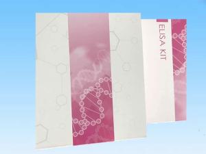 白细胞介素13ELISA试剂盒 产品图片