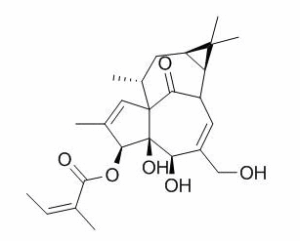 巨大戟醇-3-O-当归酸酯 CAS：75567-37-2