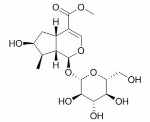 马钱苷 CAS：18524-94-2