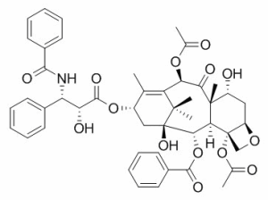 7-表紫杉醇 CAS：105454-04-4