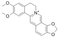 表小檗碱 CAS：6873-09-2