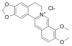 盐酸小檗碱 CAS：633-65-8