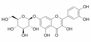 槲皮素-7-O-葡萄糖苷 CAS：491-50-9