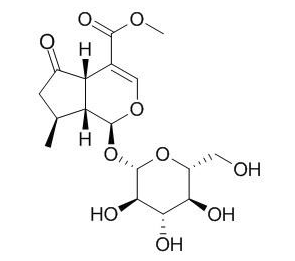 山茱萸苷 CAS：548-37-8