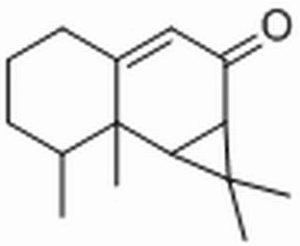 马兜铃酮 CAS：25274-27-5