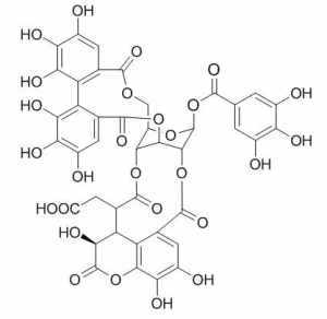 诃子鞣酸 CAS：23094-71-5