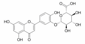 木犀草素-3'-葡萄糖醛酸苷 CAS：53527-42-7