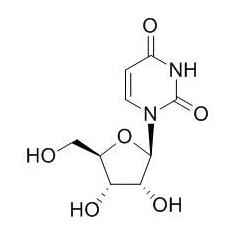 尿嘧啶核苷 CAS：58-96-8