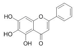 黄芩素 CAS：491-67-8