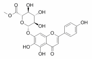 灯盏花乙素甲酯 CAS：119262-68-9