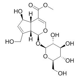 鸡矢藤次苷甲酯 CAS：27530-67-2