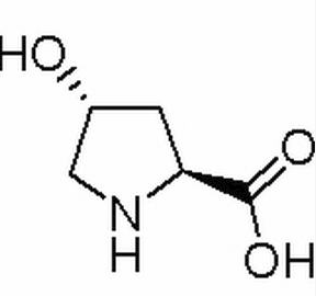 L-羟基脯氨酸 CAS：51-35-4