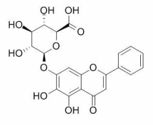 黄芩苷 CAS：21967-41-9