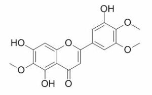 5,7,3'-三羟基-6,4',5'-三甲氧基黄酮 CAS：78417-26-2