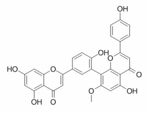 苏铁双黄酮 CAS：2608-21-1