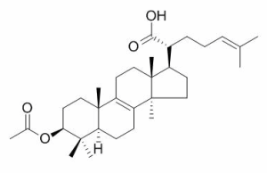 Tsugaric acid A 174391-64-1