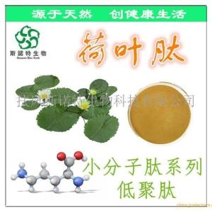 荷叶肽 荷叶多肽 60%~80%规格 低聚肽 营养强化剂 *