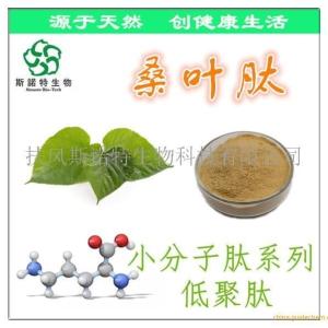 桑叶肽 桑叶小分子肽 低聚肽 营养强化剂 现货批发