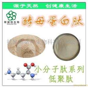 酵母蛋白肽 酵母肽 80%低聚肽 小分子活性肽 快速溶解好吸收