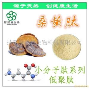 桑黄肽 桑黄多肽 60%低聚肽 桑黄糖肽 小分子肽吸收快