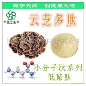 云芝肽 云芝多肽 60%低聚肽 云芝糖肽 小分子肽粉 源头供应
