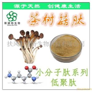 茶树菇肽 茶树菇多肽 60%低聚肽 茶树菇糖肽 1公斤包邮