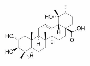 委陵菜酸 CAS：13850-16-3