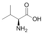 L-缬氨酸 CAS：72-18-4