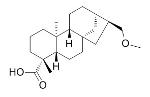 豨莶醚酸 CAS：196399-16-3