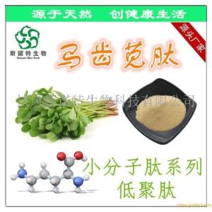 马齿苋多肽