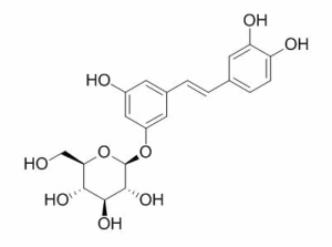 白皮杉醇葡萄糖苷 CAS：29884-49-9价格