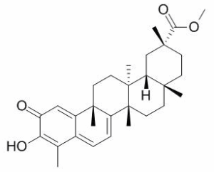 扁蒴藤素 CAS：1258-84-0