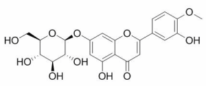 香叶木素-7-O-β-D-葡萄糖苷 CAS：20126-59-4品牌